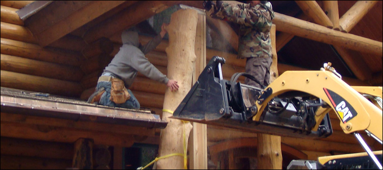 Log Home Log Replacement  Page County, Virginia